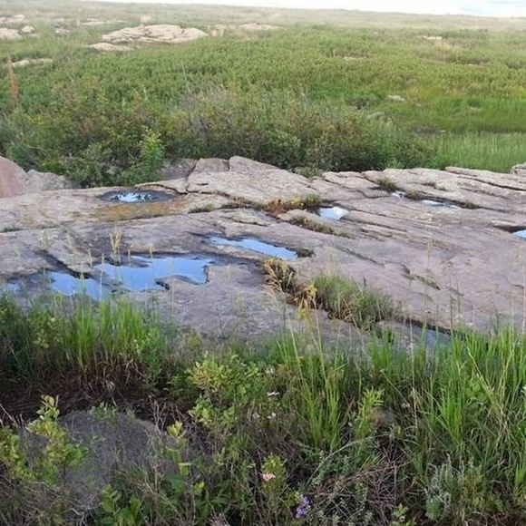 Meet your Posher, Lyn - Picture 1 of 1